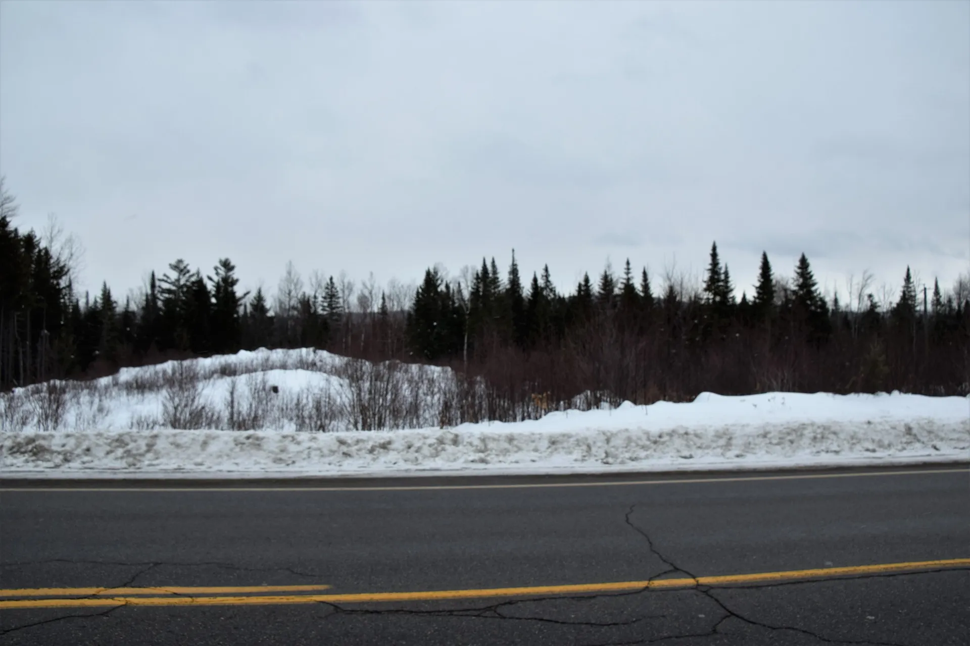 Loon Road Berlin NH 03570