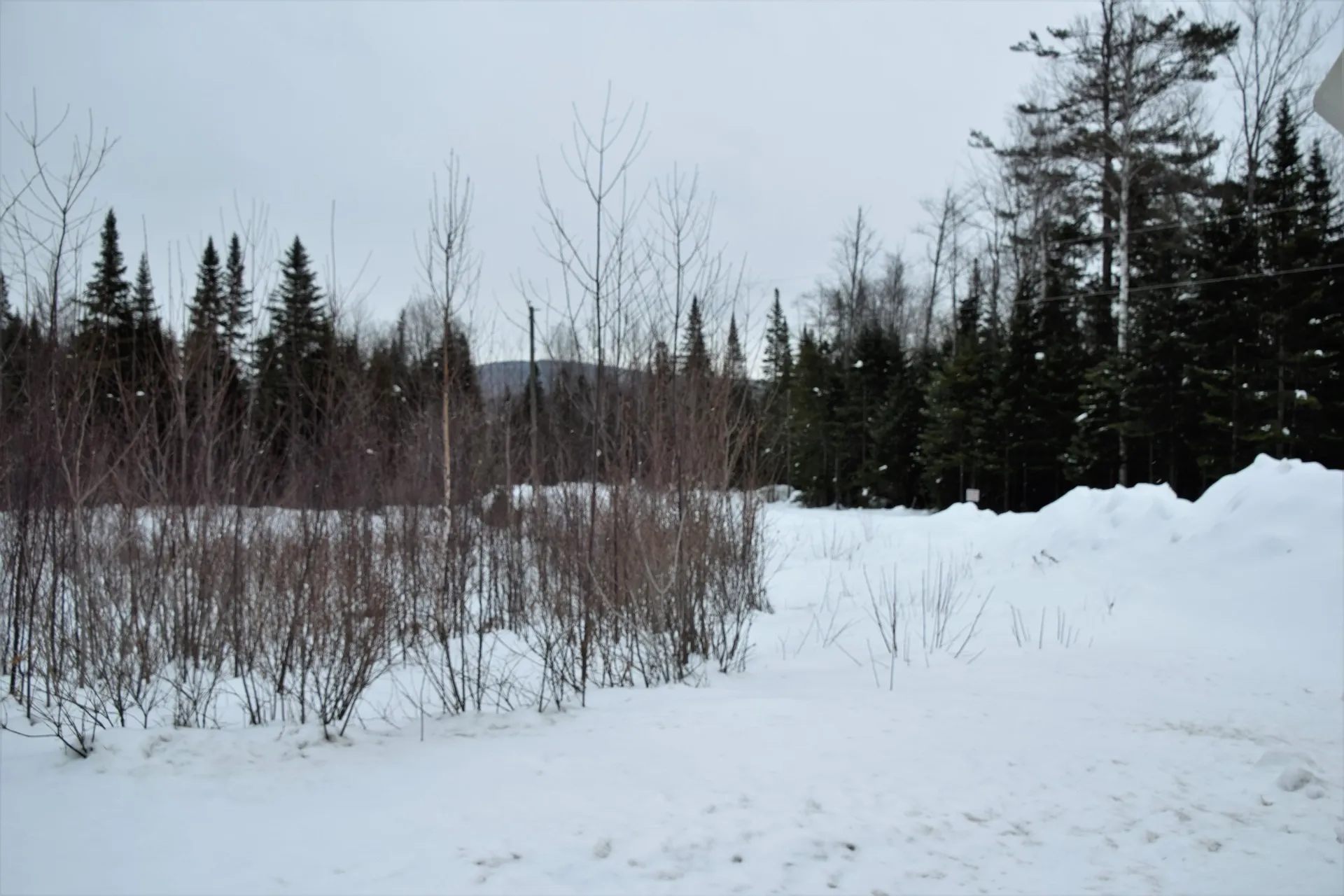 Loon Road Berlin NH 03570