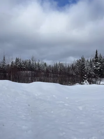 Loon Road Berlin NH 03570