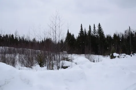 Loon Road Berlin NH 03570