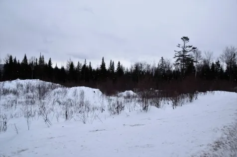 Loon Road Berlin NH 03570