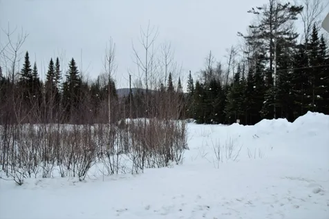 Loon Road Berlin NH 03570