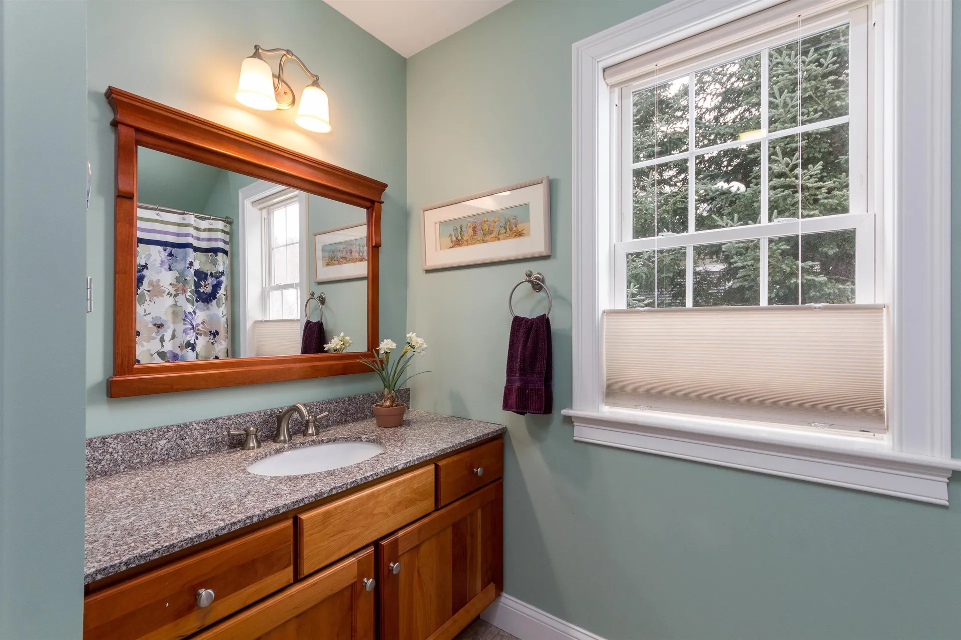66 Balsam Circle Williston VT 05495