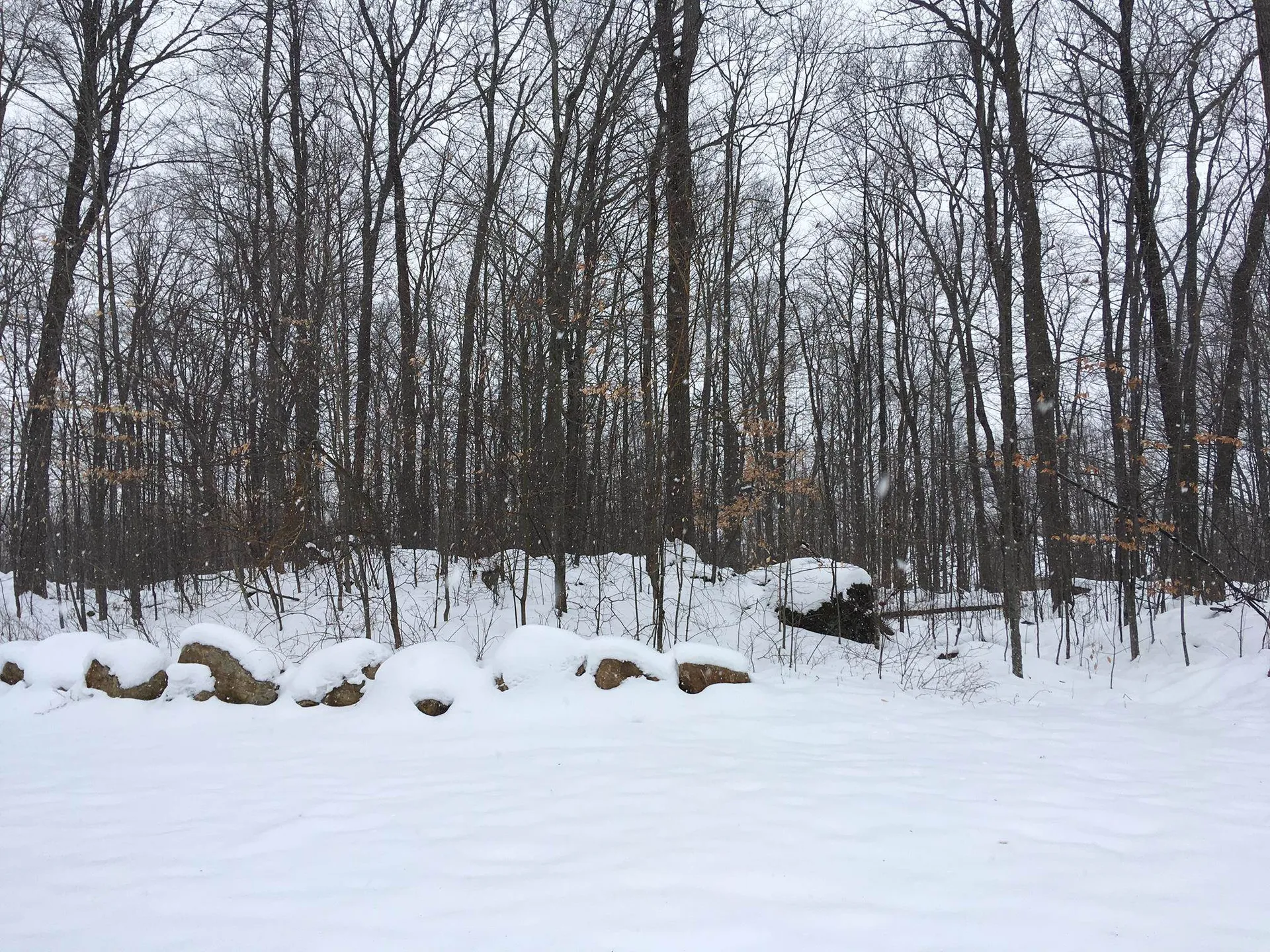 Lot 27 South Woods Way Swanton VT 05488