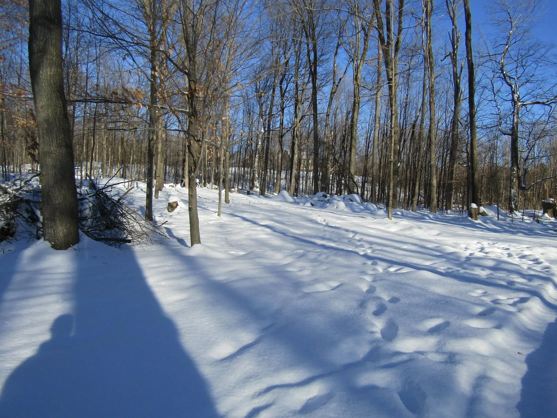 Lot 27 South Woods Way Swanton VT 05488