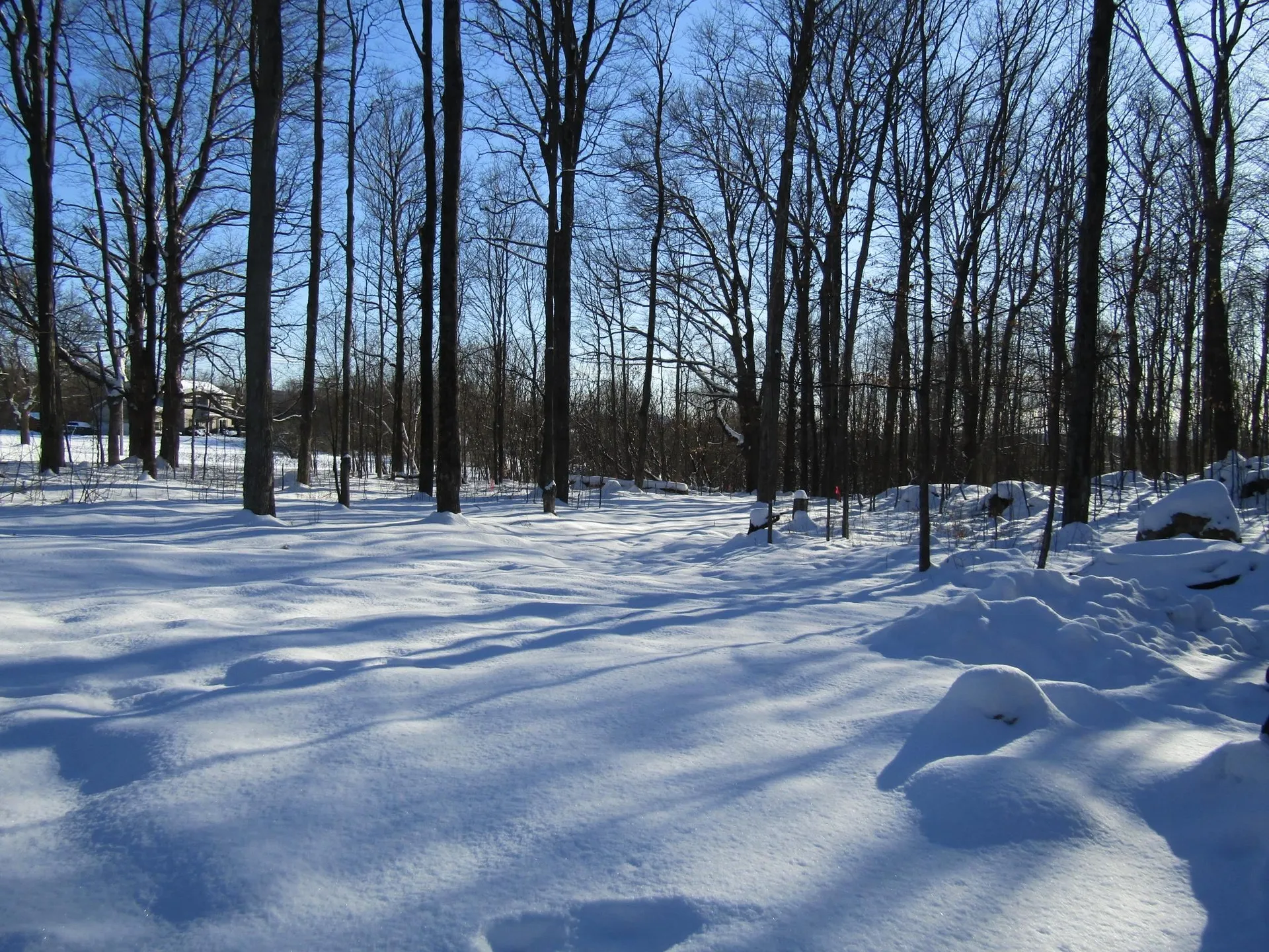 Lot 27 South Woods Way Swanton VT 05488