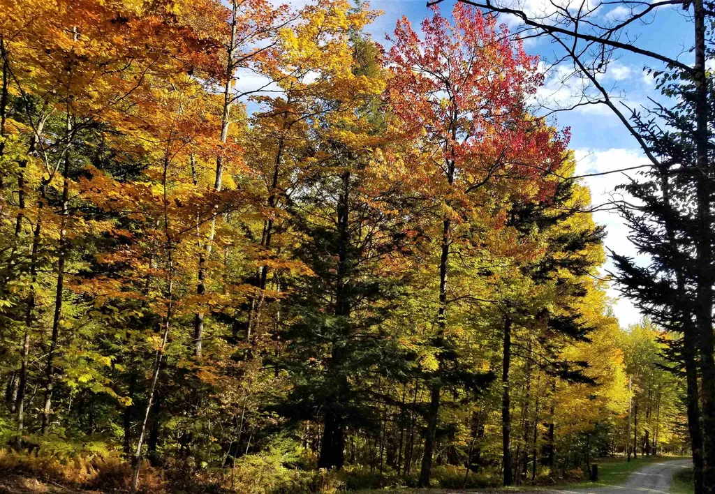 1838 Center Fayston Road Fayston VT 05660