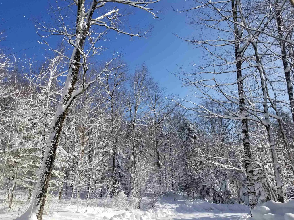 1838 Center Fayston Road Fayston VT 05660