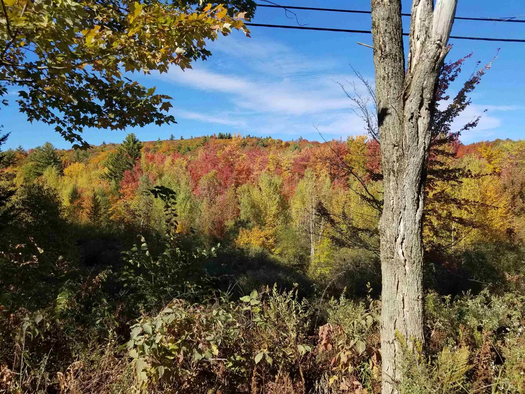 1838 Center Fayston Road Fayston VT 05660