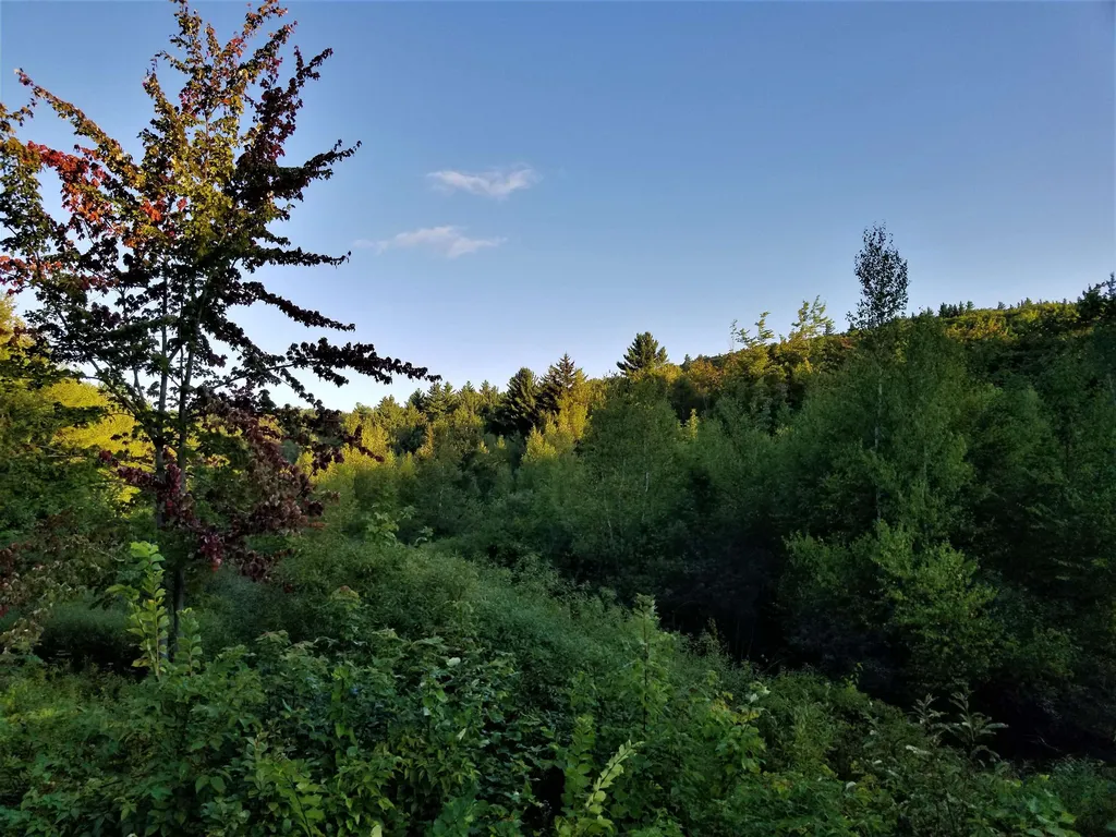 1838 Center Fayston Road Fayston VT 05660