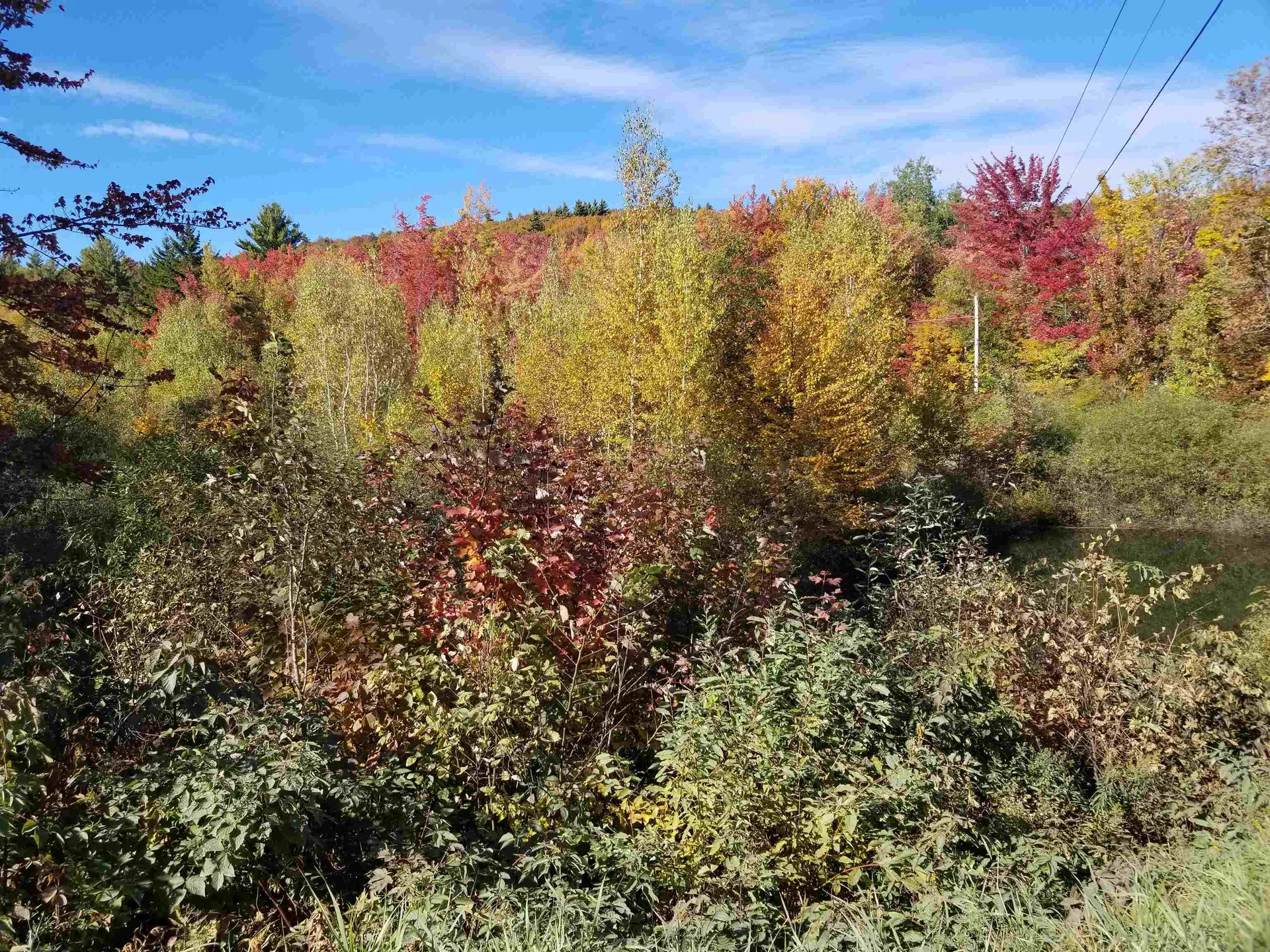 1838 Center Fayston Road Fayston VT 05660