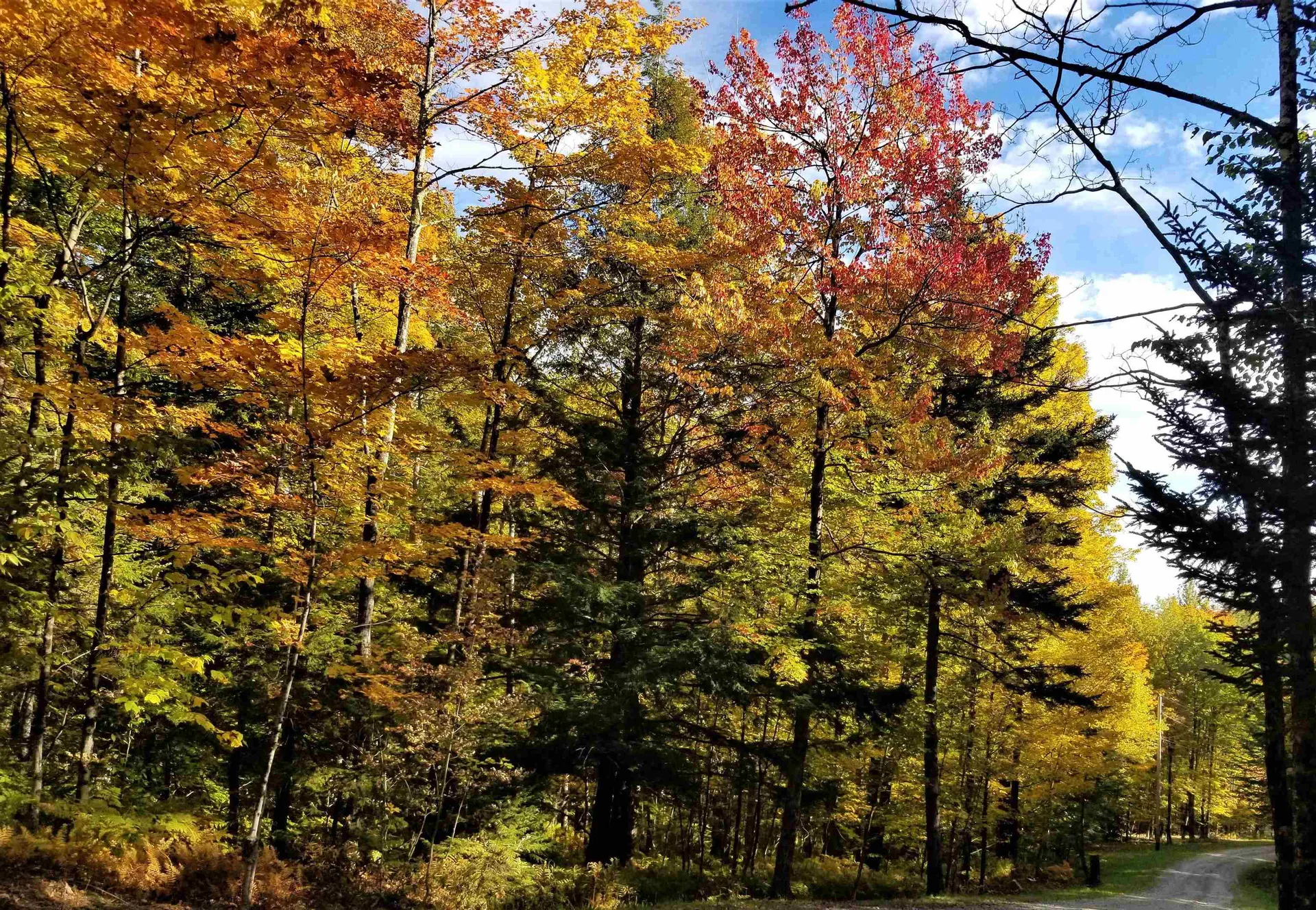 1838 Center Fayston Road Fayston VT 05660