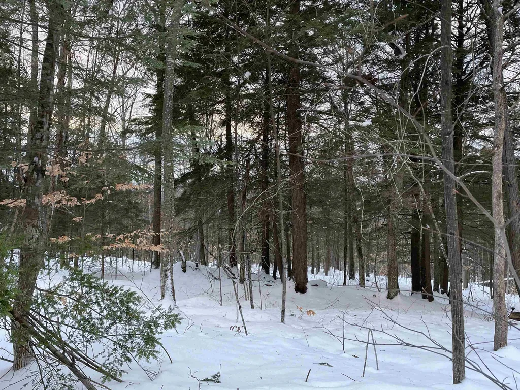 00 Fernwood Farms Road Canaan NH 03741
