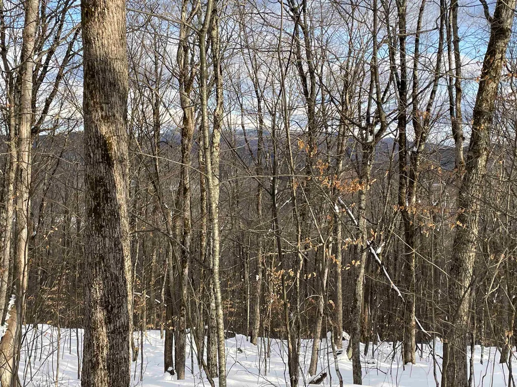 00 Fernwood Farms Road Canaan NH 03741