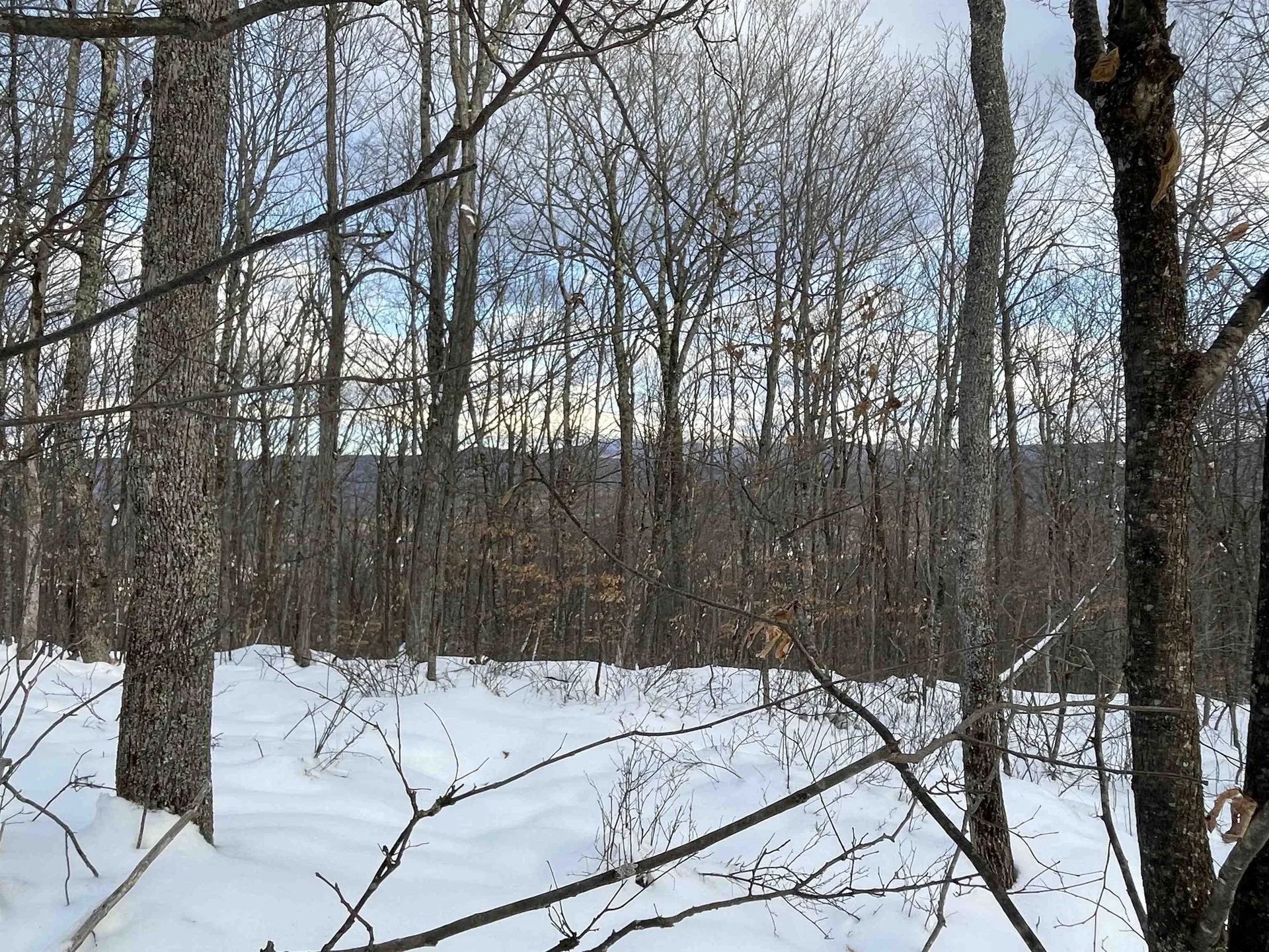 00 Fernwood Farms Road Canaan NH 03741