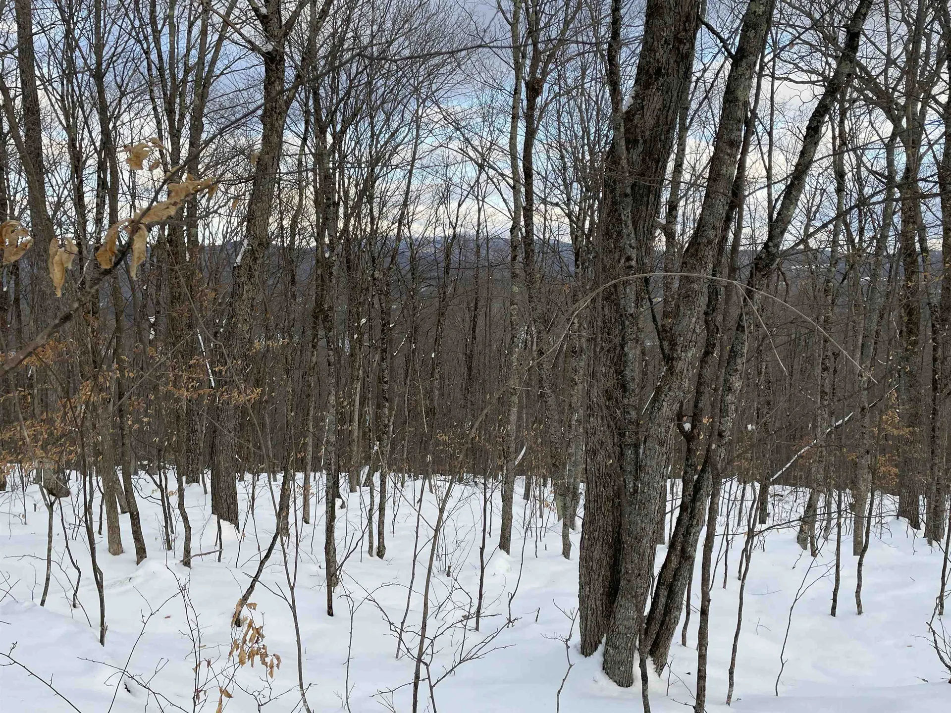 00 Fernwood Farms Road Canaan NH 03741