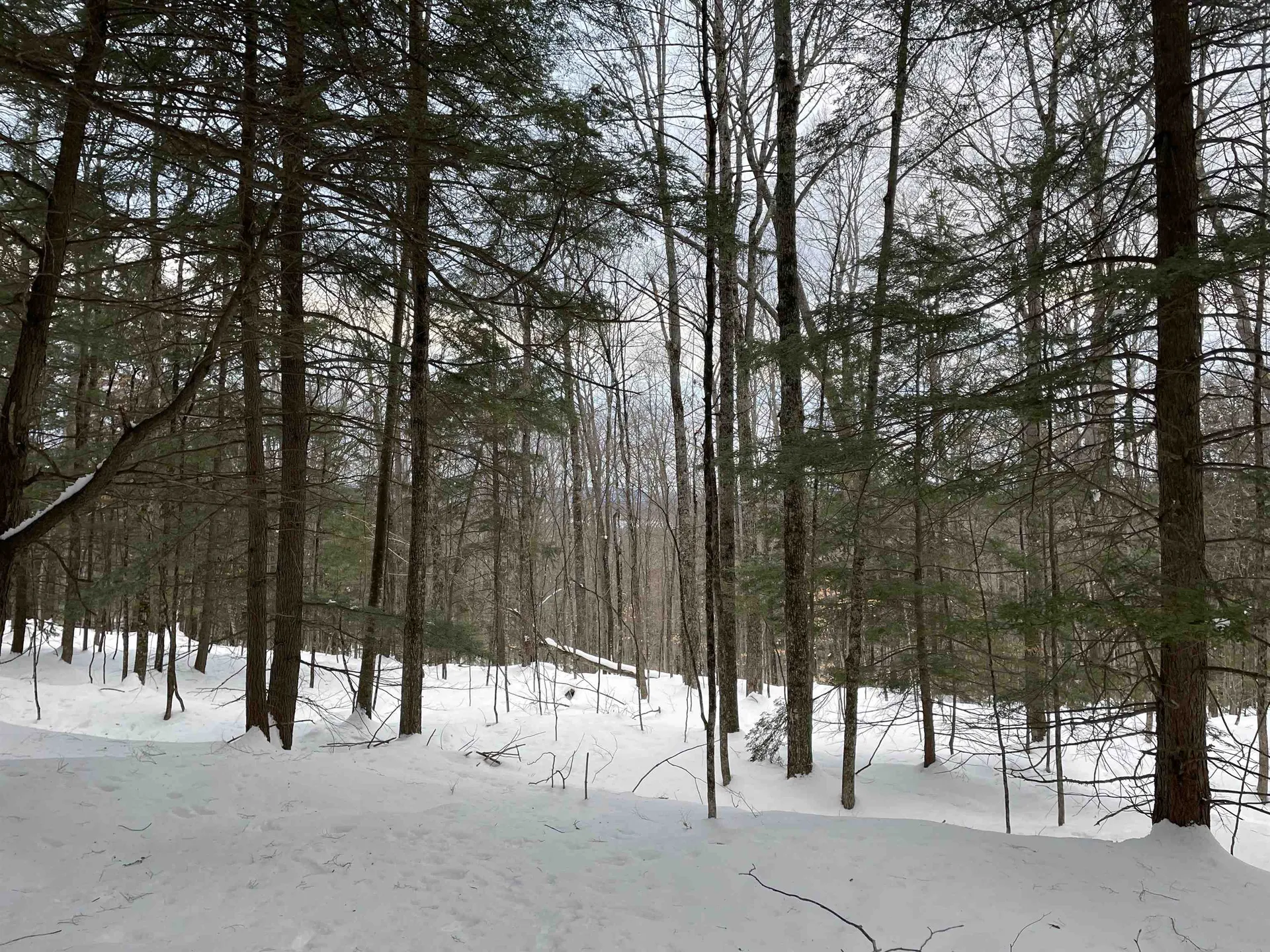 00 Fernwood Farms Road Canaan NH 03741