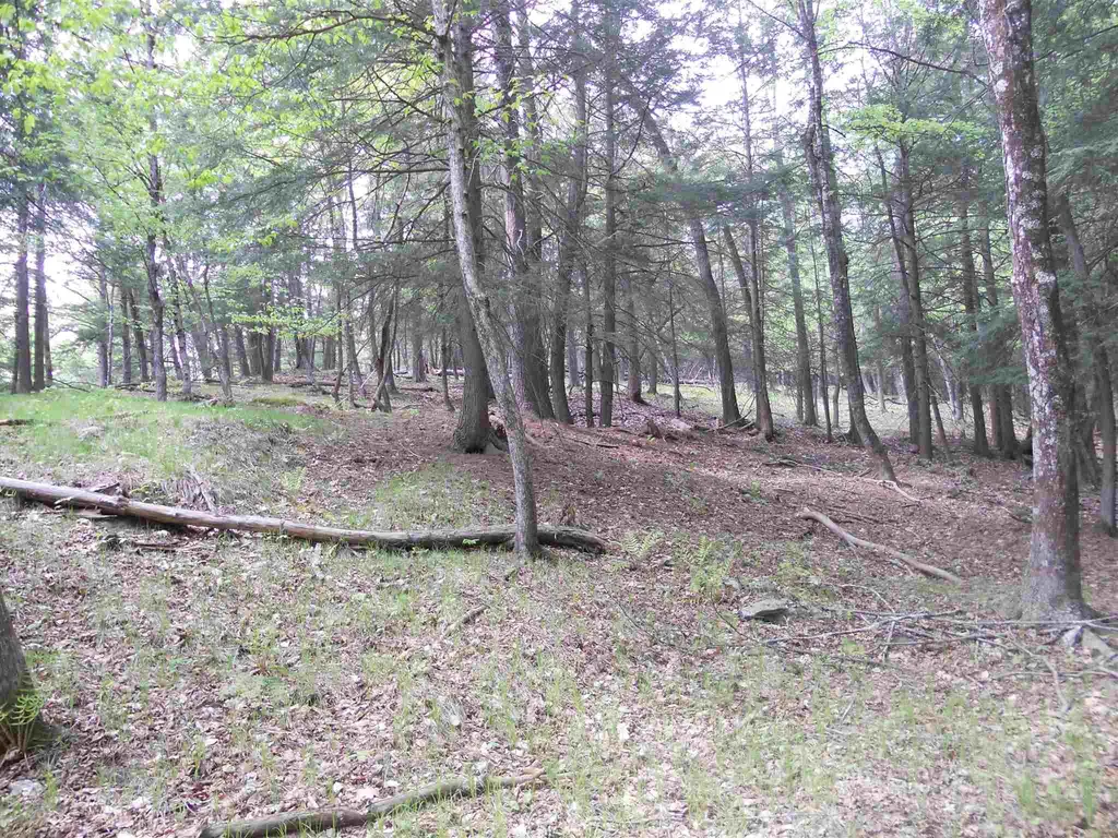 Hoisington Hill Road Windsor VT 05089