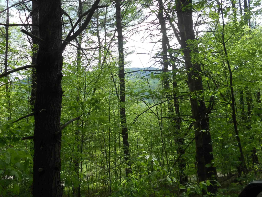 Hoisington Hill Road Windsor VT 05089