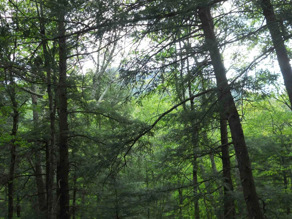 Hoisington Hill Road Windsor VT 05089