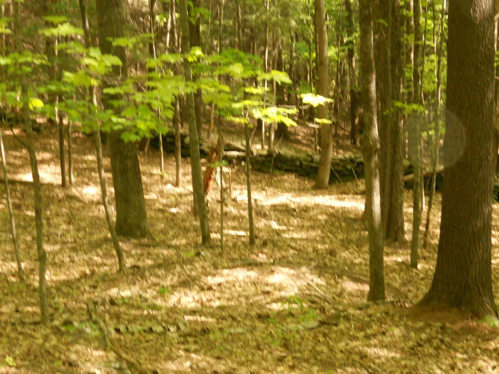 Hoisington Hill Road Windsor VT 05089
