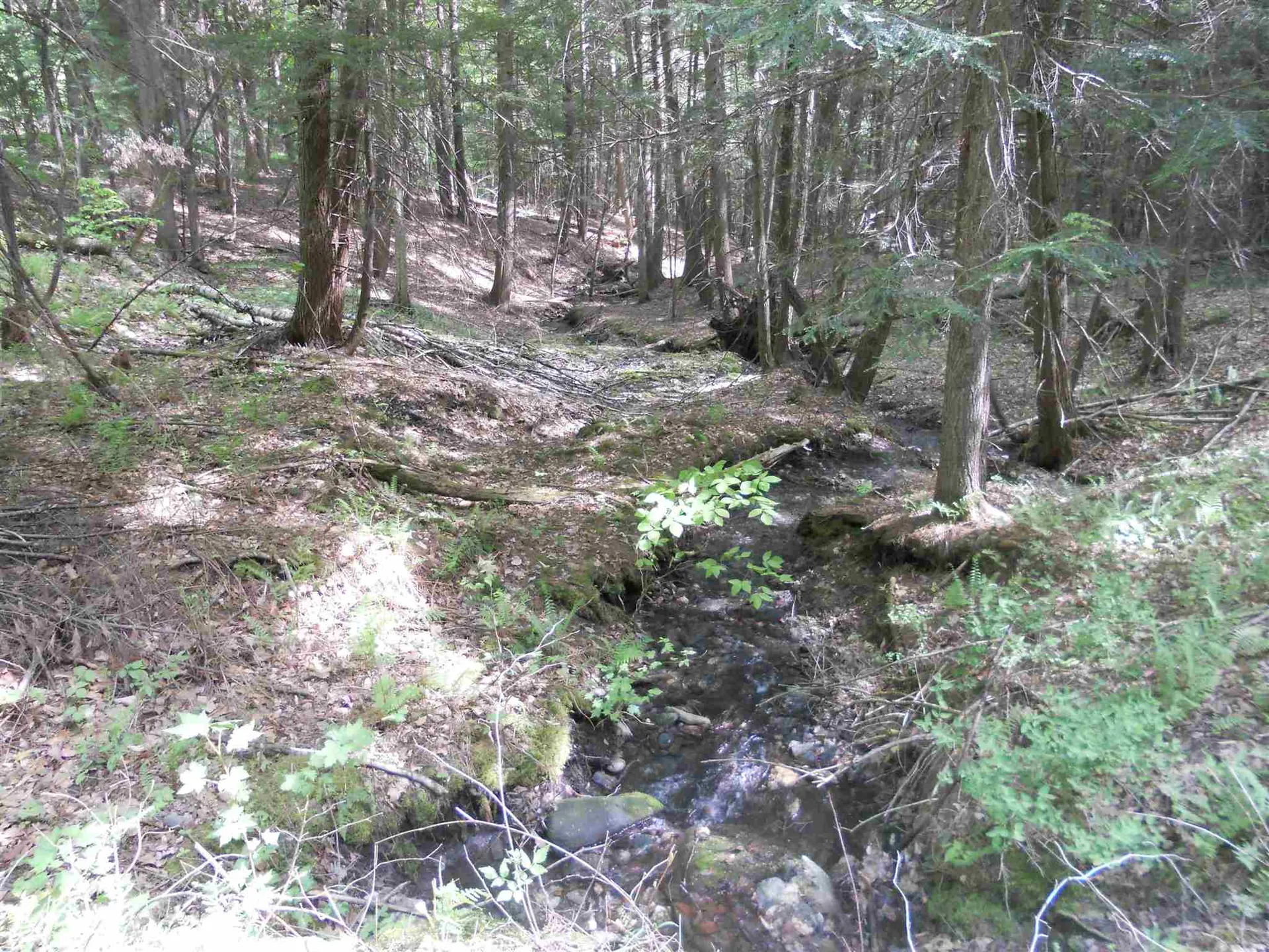 Hoisington Hill Road Windsor VT 05089