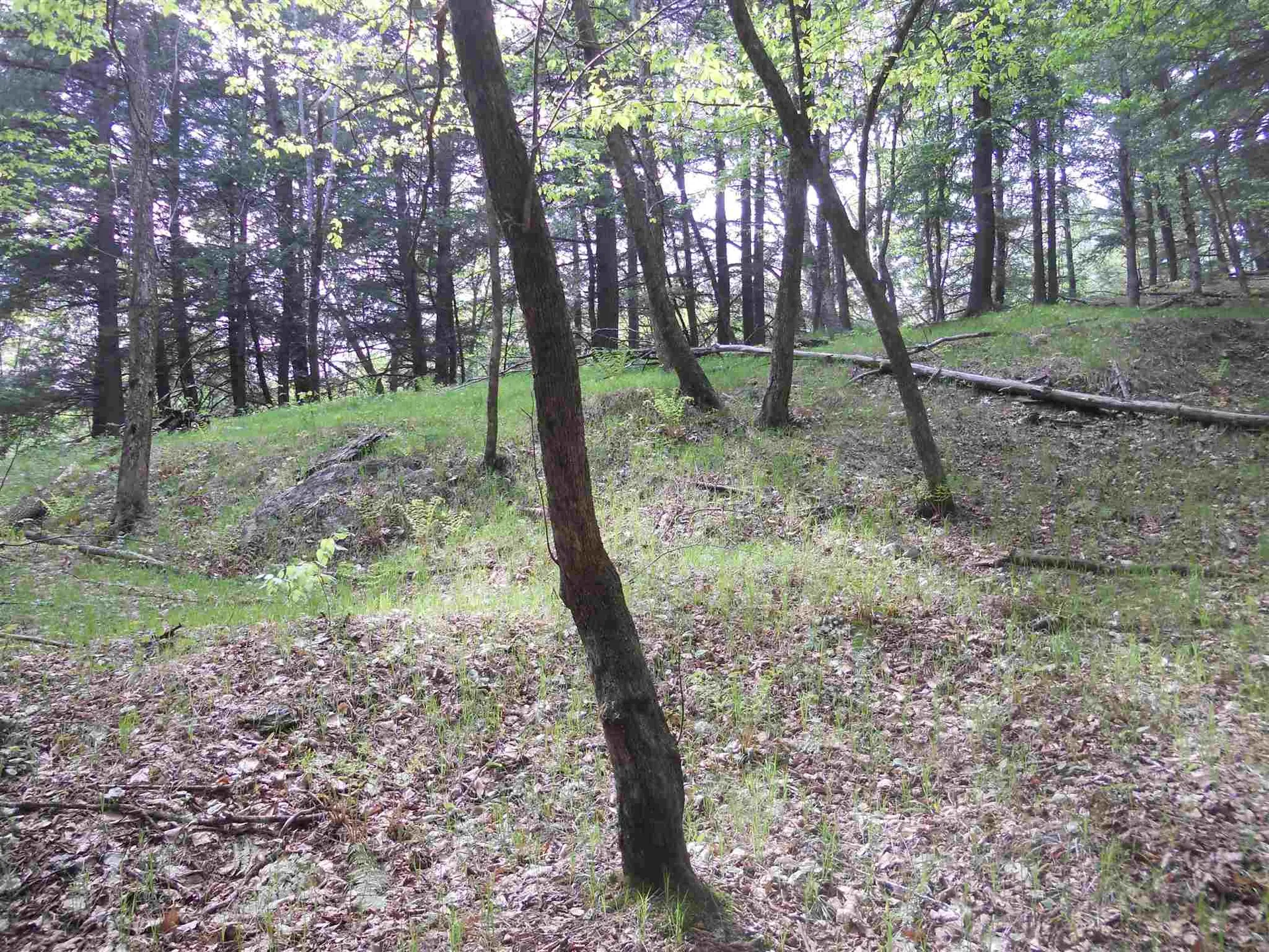 Hoisington Hill Road Windsor VT 05089