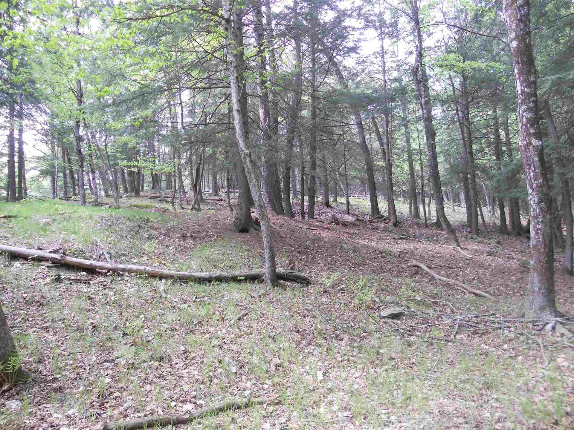 Hoisington Hill Road Windsor VT 05089