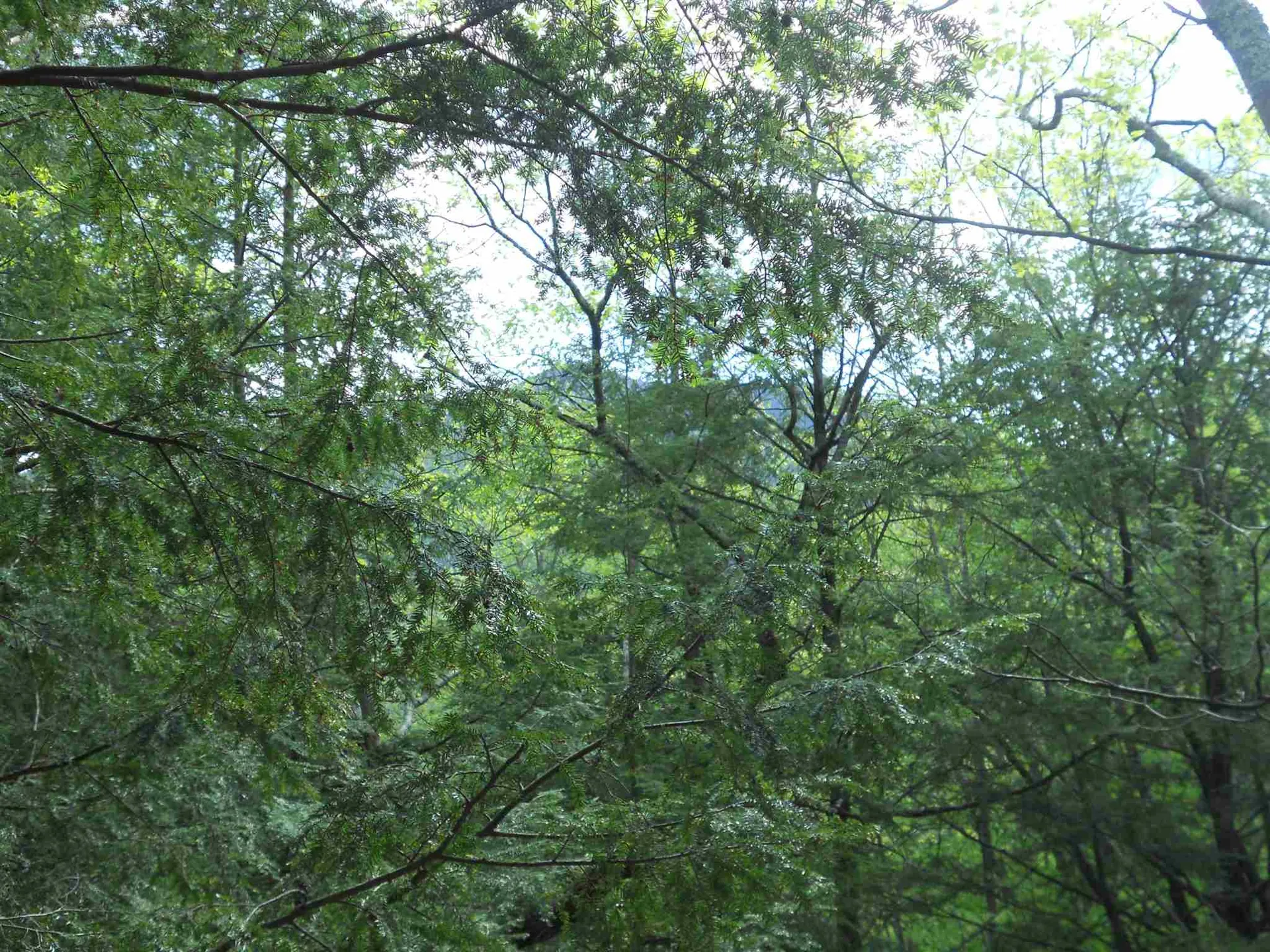Hoisington Hill Road Windsor VT 05089