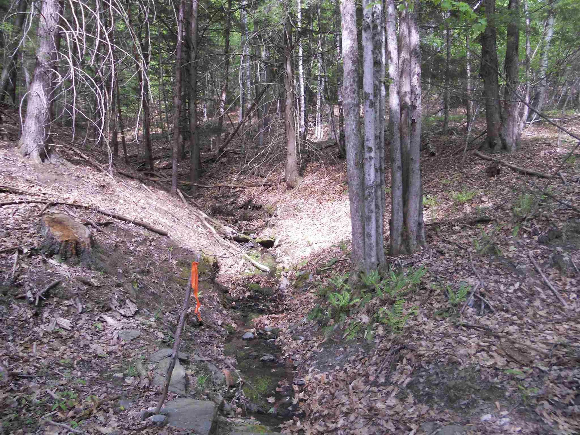 Hoisington Hill Road Windsor VT 05089