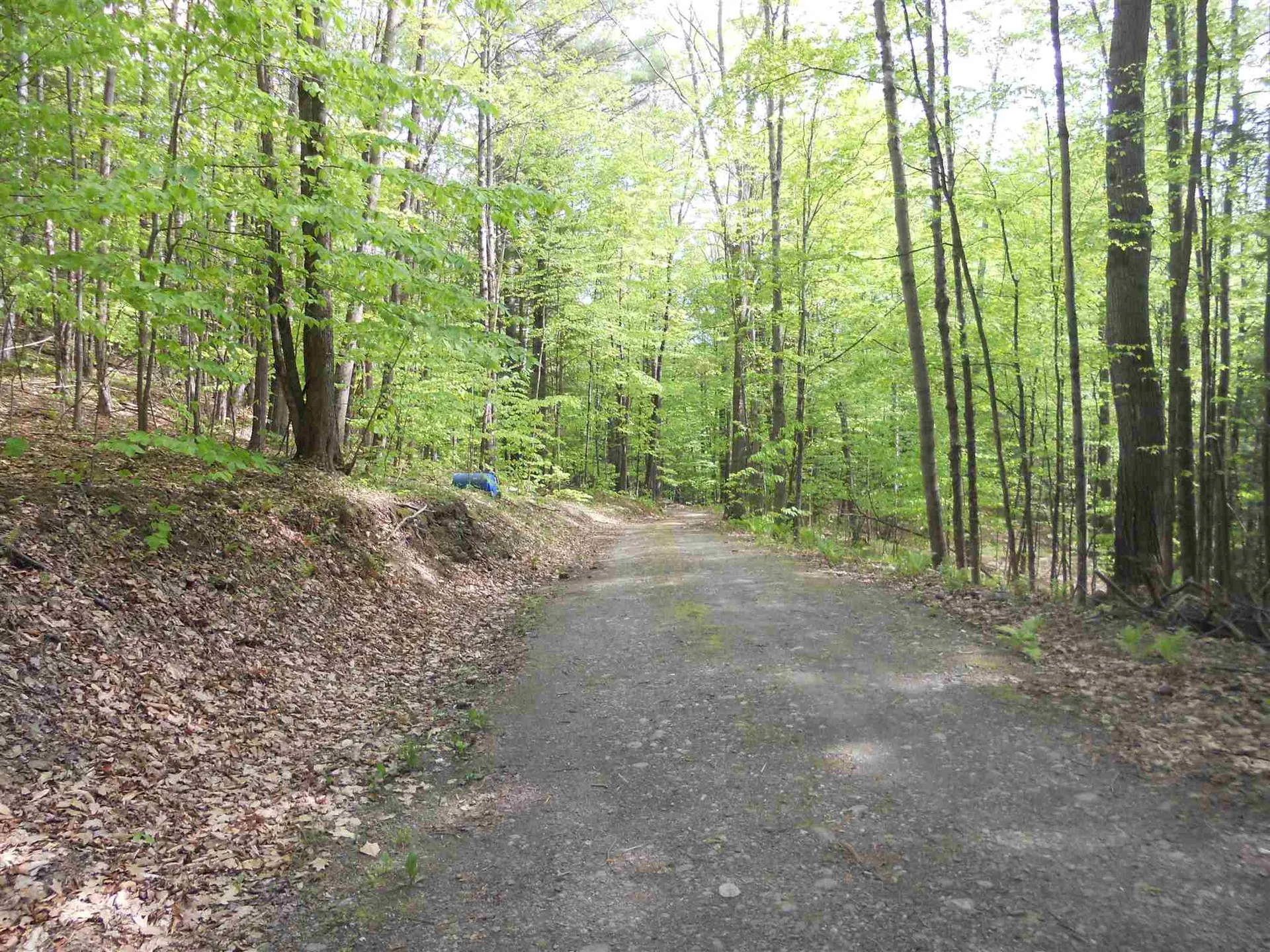Hoisington Hill Road Windsor VT 05089