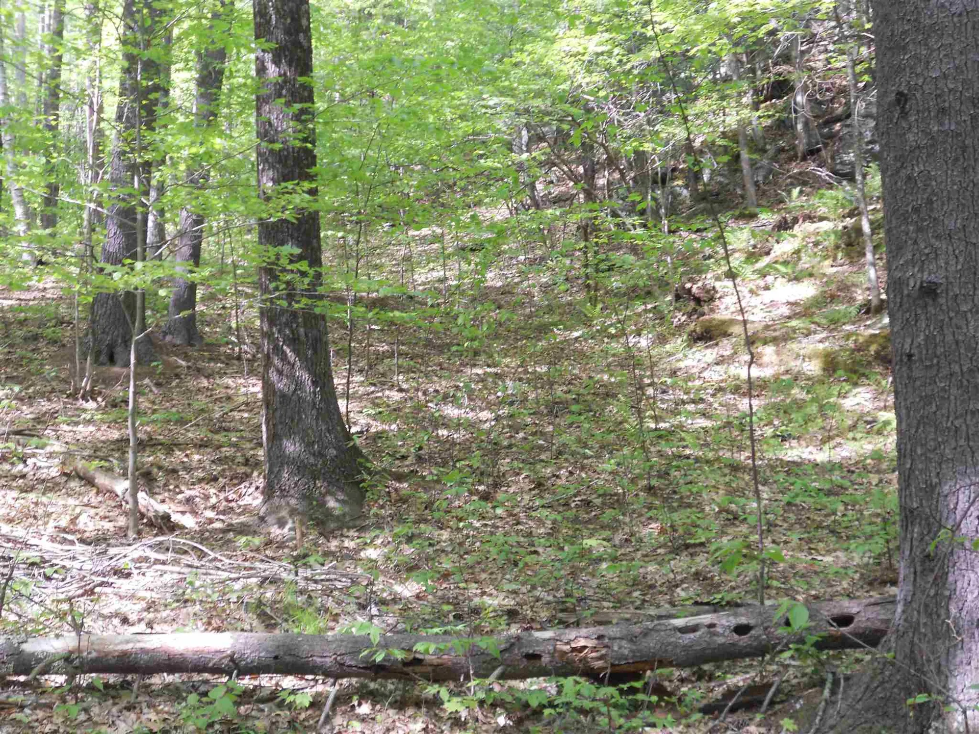 Hoisington Hill Road Windsor VT 05089