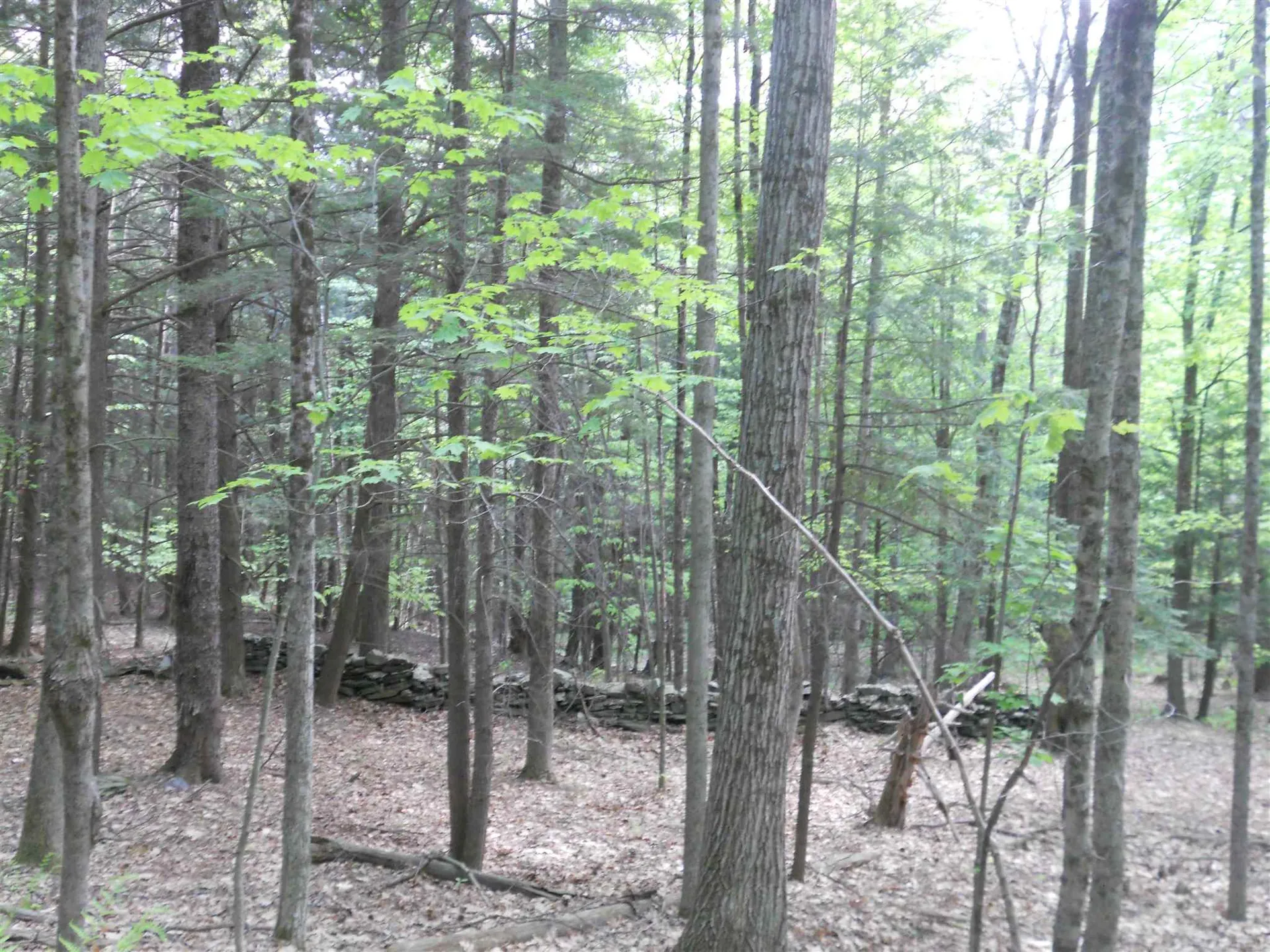Hoisington Hill Road Windsor VT 05089