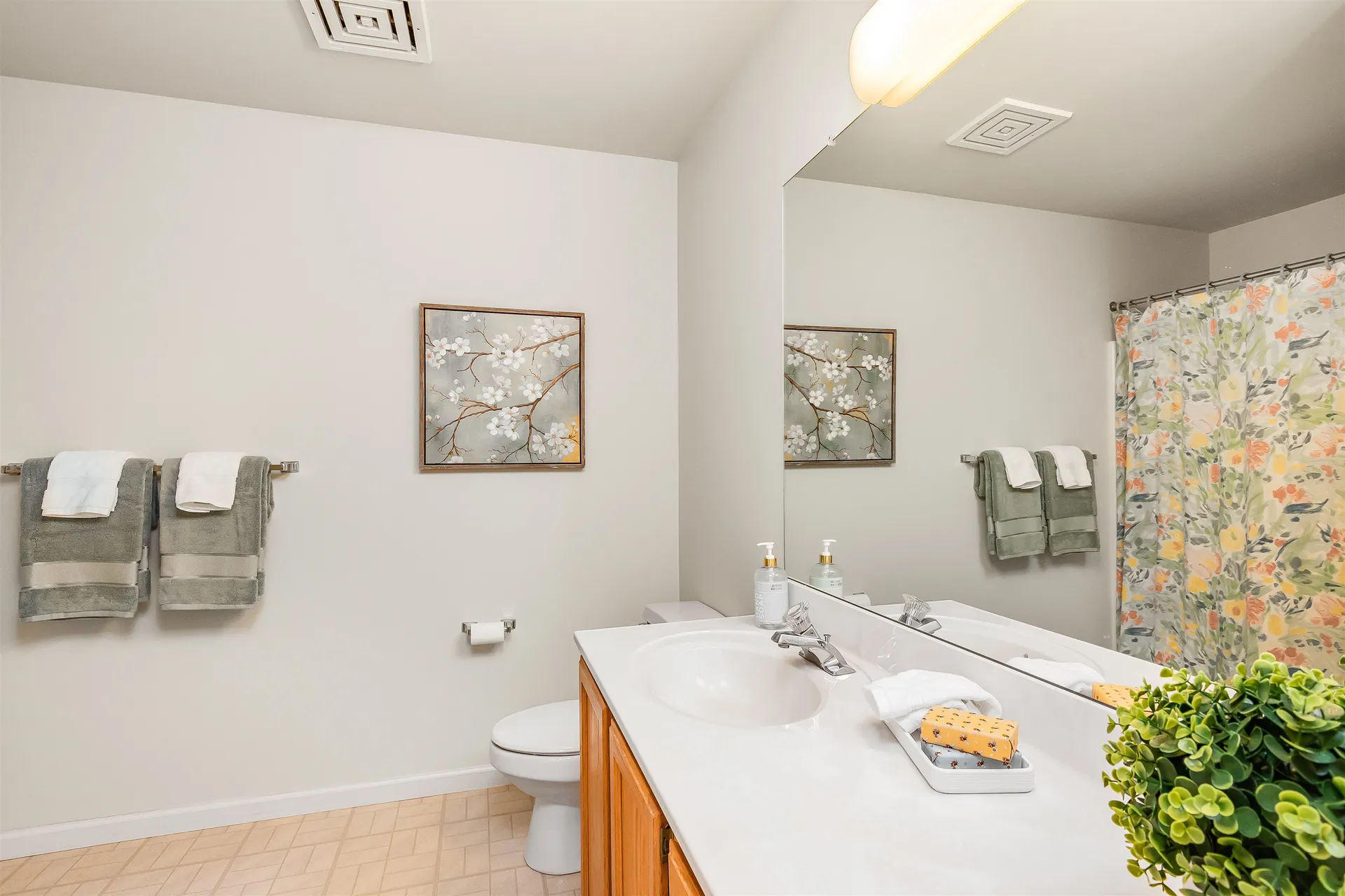 393 Cedar Lane Williston VT 05495