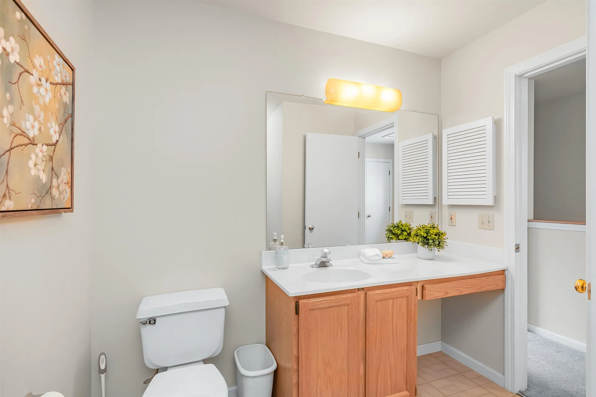 393 Cedar Lane Williston VT 05495