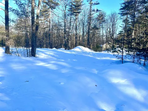Lot 16 Daniel Drive Wakefield NH 03830