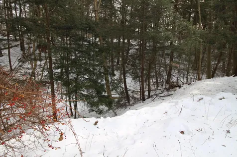 67 Oakcrest Drive Burlington VT 05408
