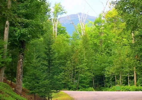 20 Stony Brook Road Gorham NH 03581