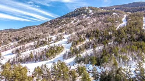 9 Mountainside At Attitash Road Bartlett NH 03812