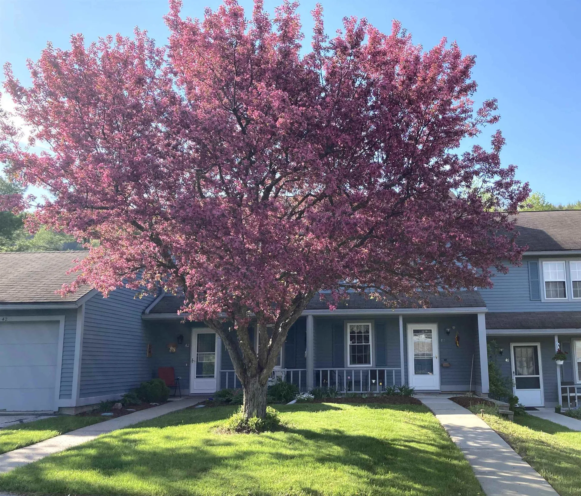 44 Freedom Drive Montpelier VT 05602