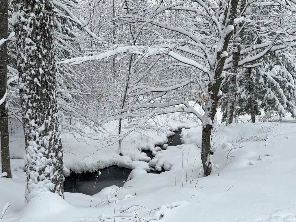 1737 Turnpike Road Norwich VT 05055