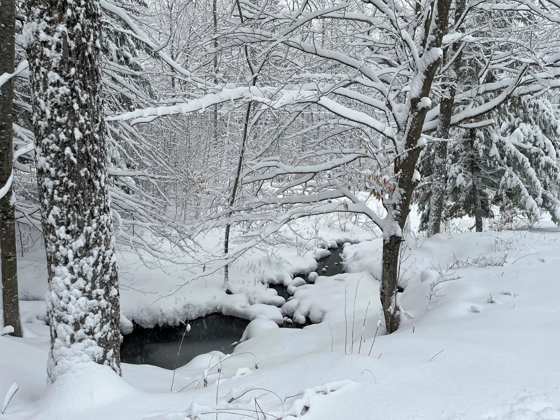 1737 Turnpike Road Norwich VT 05055