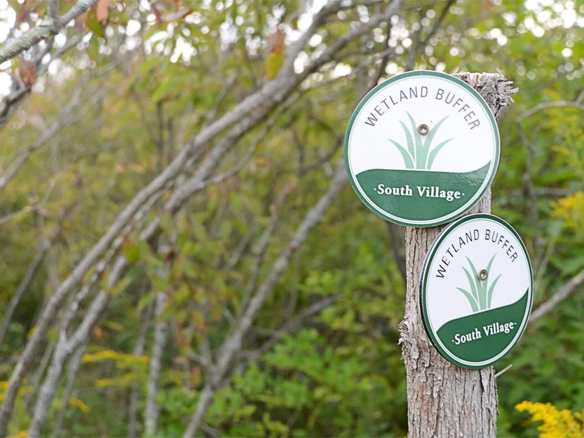 99 Midland Avenue South Burlington VT 05403