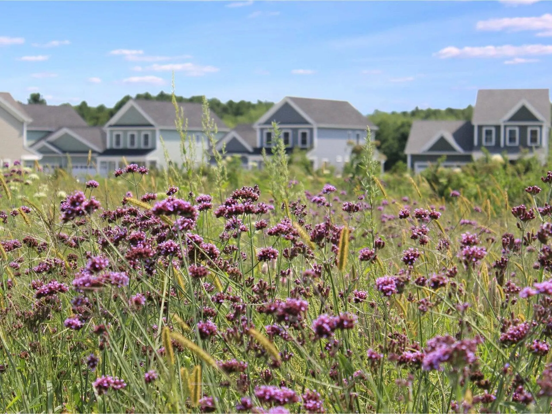 99 Midland Avenue South Burlington VT 05403