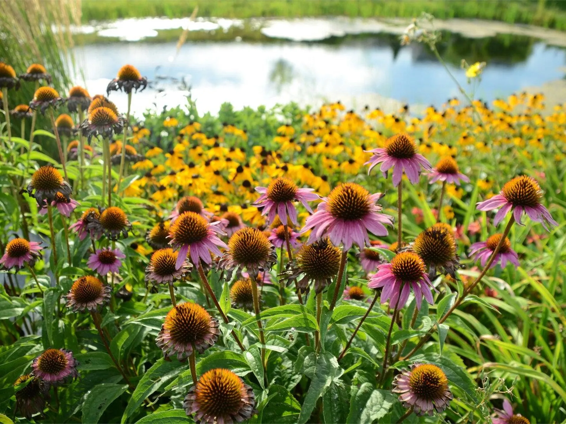 99 Midland Avenue South Burlington VT 05403