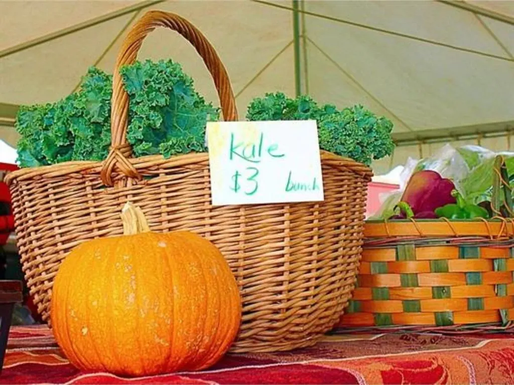 84 Stafford Street South Burlington VT 05403