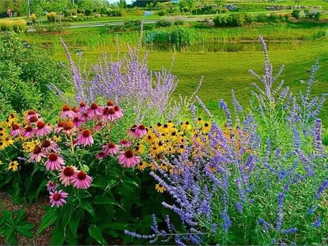 84 Stafford Street South Burlington VT 05403