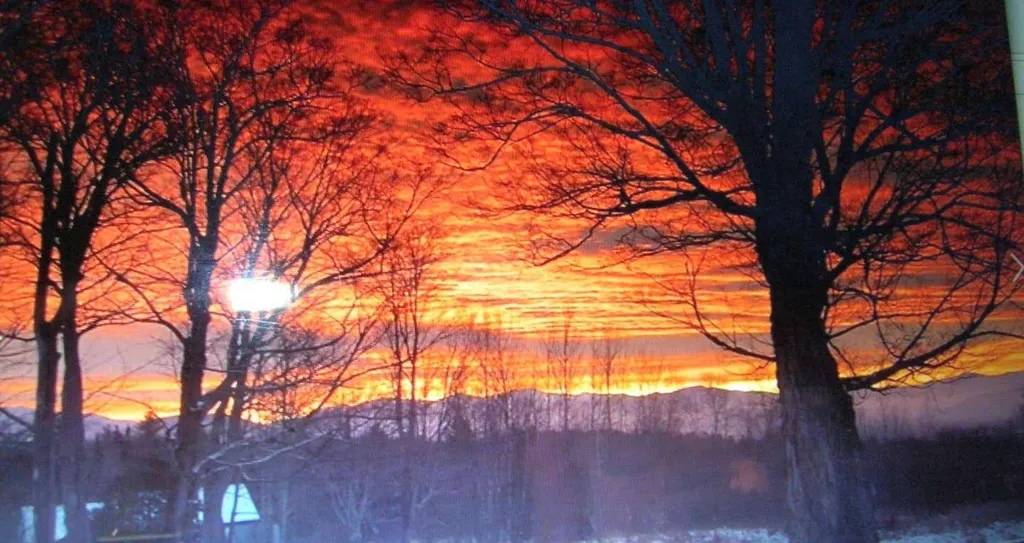 53 Pond Hill Road Lunenburg VT 05906