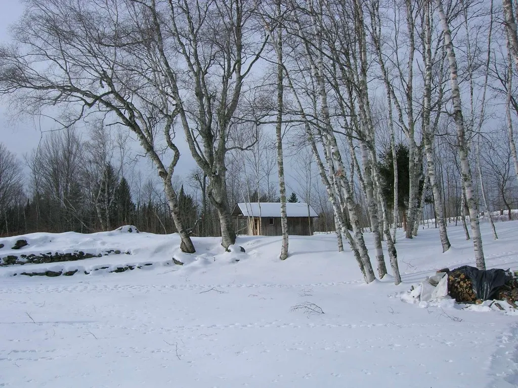 53 Pond Hill Road Lunenburg VT 05906
