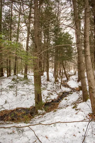 515 North Road Bethel VT 05032